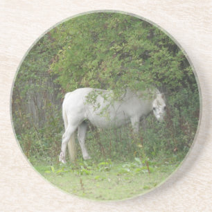 En Grès Cheval blanc timide Dessous de verre