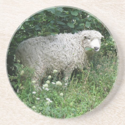 En Grès Cute Blanc Fluffy Sheep Manger Dessous de verre (Devant)