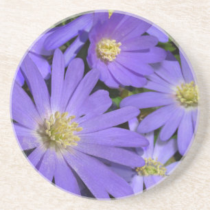 En Grès Daisy Dessous de verre Fleur sauvage violet Daisy 