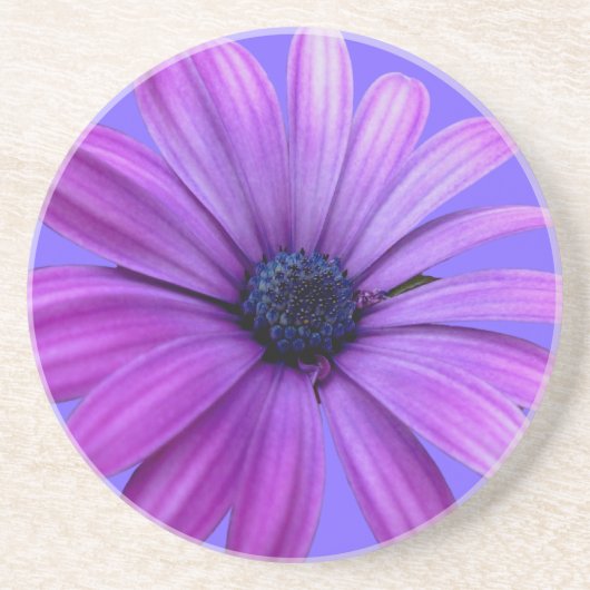 En Grès Daisy Dessous de verre Fleur sauvage violet Daisy  (Devant)