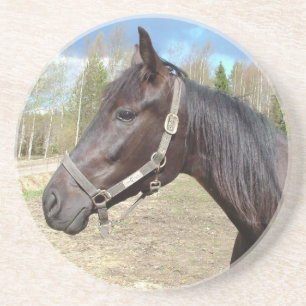 En Grès Dessous de verre à cheval