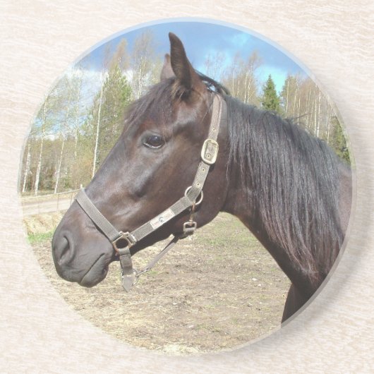 En Grès Dessous de verre à cheval (Devant)