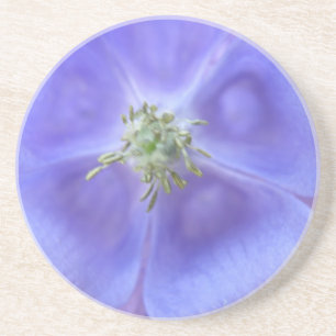 En Grès Dessous de verre à fleurs Aquilegia