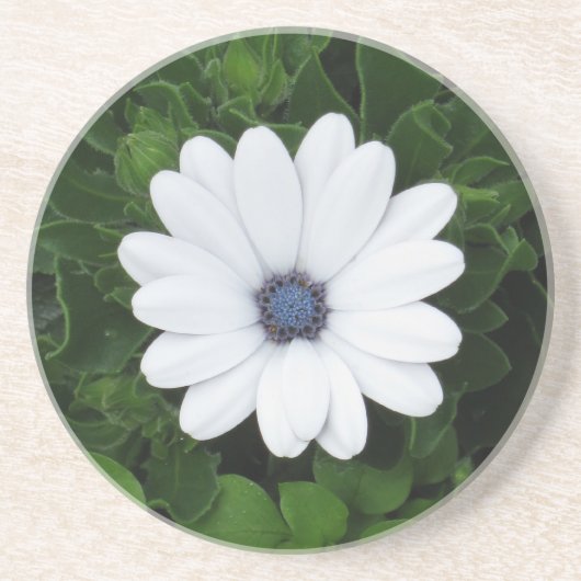 En Grès Dessous de verre à fleurs blanches (Devant)
