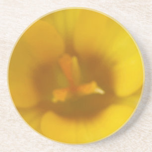 En Grès Dessous de verre à fleurs de crocus jaunes