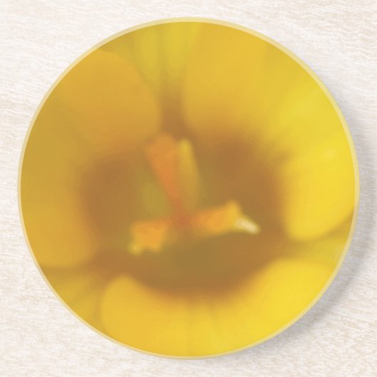 En Grès Dessous de verre à fleurs de crocus jaunes (Devant)