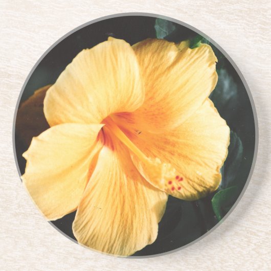 En Grès Dessous de verre à fleurs d'Hibiscus jaune orange (Devant)