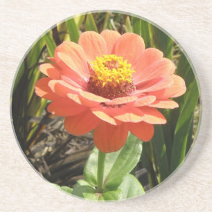 En Grès Dessous de verre à fleurs d'Orange Zinnia