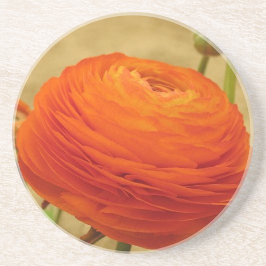 En Grès Dessous de verre à fleurs orange (Devant)
