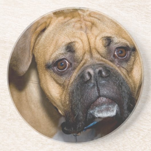 En Grès Dessous de verre américains de chien de boxeur (Devant)