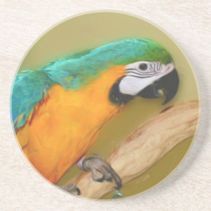 En Grès Dessous de verre animal de perroquet bleu or macaw