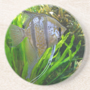 En Grès Dessous de verre aux poissons anges