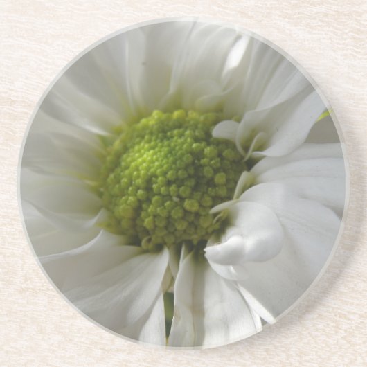 En Grès Dessous de verre blancs Chrysanthemum (Devant)