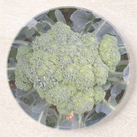 En Grès Dessous de verre Brocoli (Devant)