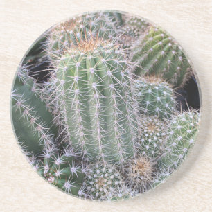En Grès Dessous de verre cactus