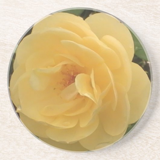 En Grès Dessous de verre Camellia Jaune (Devant)