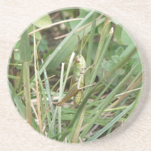 En Grès Dessous de verre Camouflage de sauterelles (Devant)