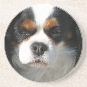 En Grès Dessous de verre cavaliers de chien d'épagneul du