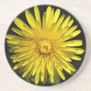 En Grès Dessous de verre Dandelion