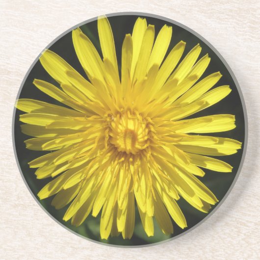 En Grès Dessous de verre Dandelion (Devant)