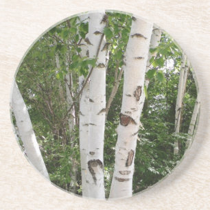 En Grès Dessous de verre d'arbre de bouleau