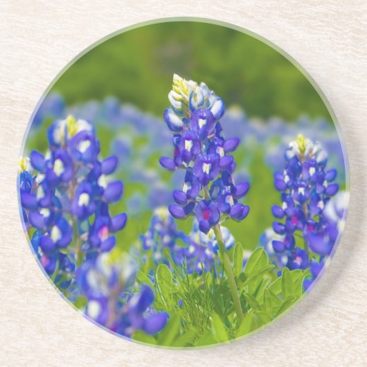 En Grès Dessous de verre de Bluebonnet de Texas (Devant)