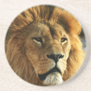 En Grès Dessous de verre de boissons de photo de lion