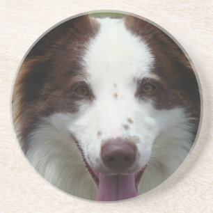 En Grès Dessous de verre de border collie