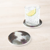 En Grès Dessous de verre de border collie (Côté)