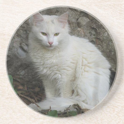 En Grès Dessous de verre de chat blanc (Devant)