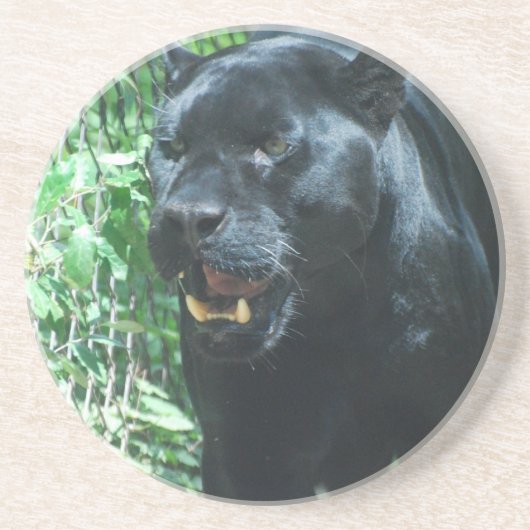 En Grès Dessous de verre de chat de panthère noire (Devant)