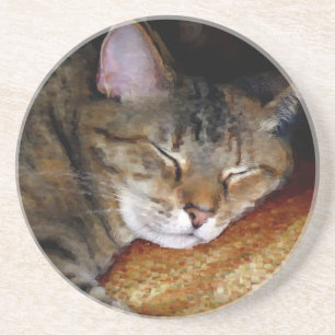 En Grès Dessous de verre de chat de sommeil