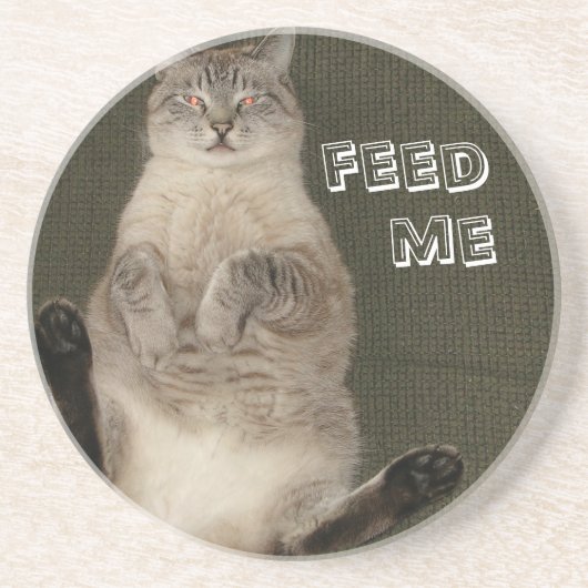 En Grès Dessous de verre de chat "FEED ME" (Devant)