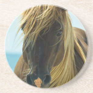 En Grès Dessous de verre de cheval de mustang