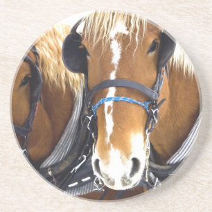 En Grès Dessous de verre de cheval de trait de Clydesdale