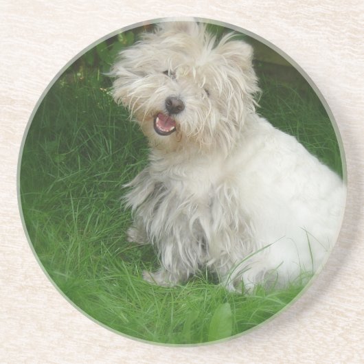 En Grès Dessous de verre de chien de Bichon Frise (Devant)