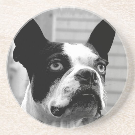 En Grès Dessous de verre de chien de Boston Terrier (Devant)