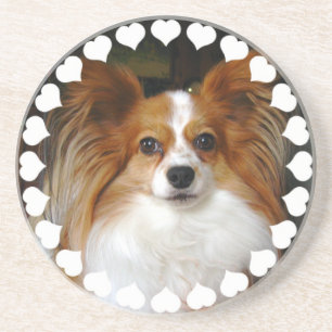 En Grès Dessous de verre de chien de Papillon