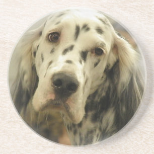 En Grès Dessous de verre de chien de poseur anglais