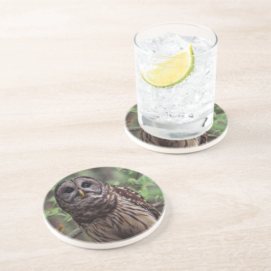 En Grès Dessous de verre de Chouette barrée (Côté)