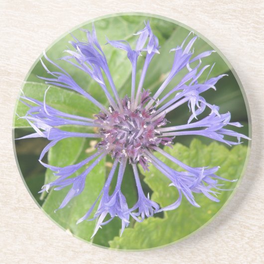 En Grès Dessous de verre de Cornflower bleu (Devant)