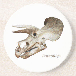 En Grès Dessous de verre de crâne de Triceratops