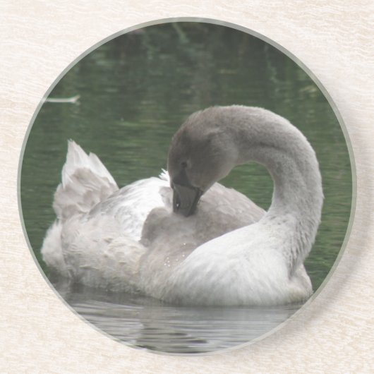 En Grès Dessous de verre de cygne endormis (Devant)