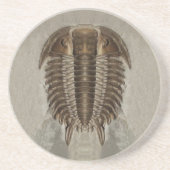 En Grès Dessous de verre de fossile de Trilobite (Devant)