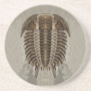 En Grès Dessous de verre de fossile de Trilobite