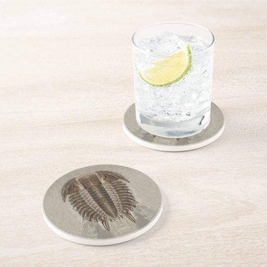 En Grès Dessous de verre de fossile de Trilobite (Côté)