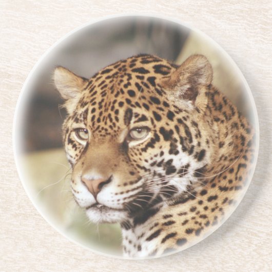 En Grès Dessous de verre de Jaguar (Devant)