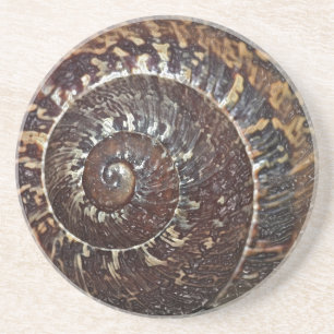 En Grès Dessous de verre de la coque de l'escargot