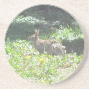 En Grès Dessous de verre de lapin sauvage