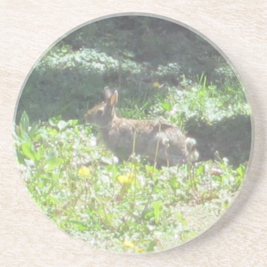 En Grès Dessous de verre de lapin sauvage (Devant)